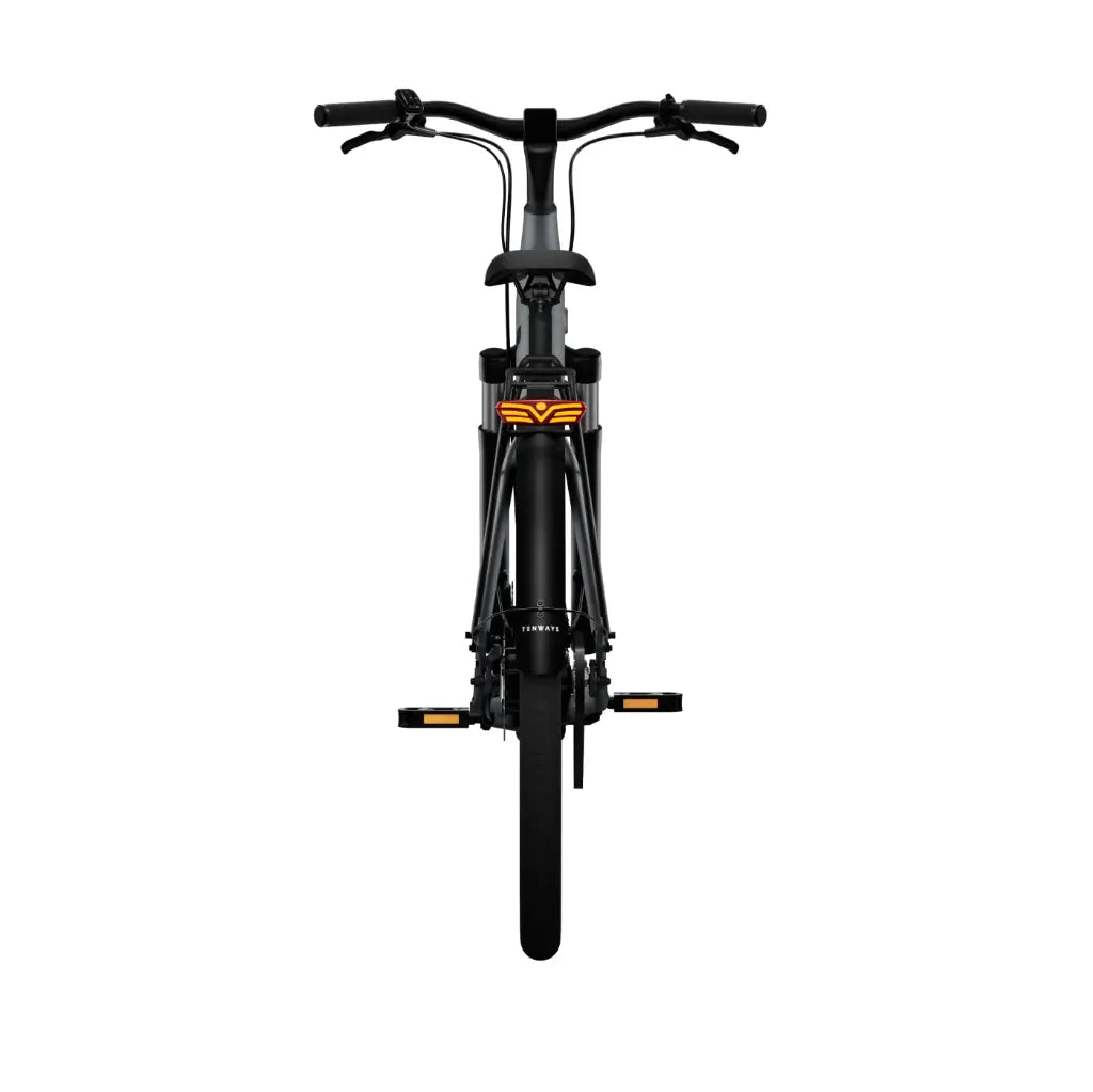 CGO800S Ebike