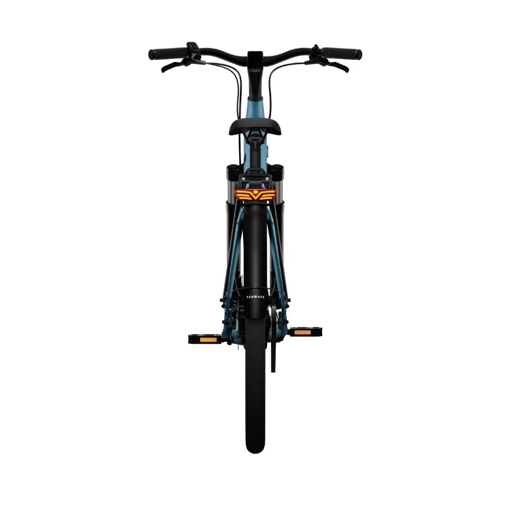 CGO800S Ebike