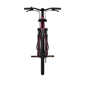 CGO800S Ebike