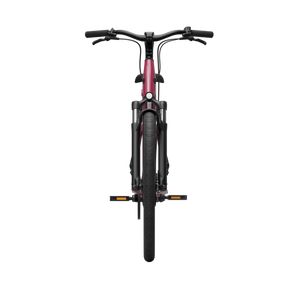 CGO800S Ebike