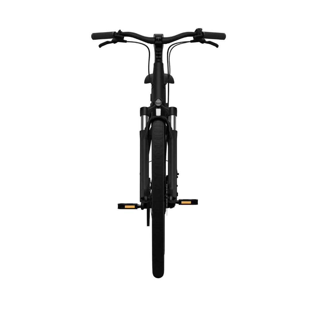 CGO800S Ebike