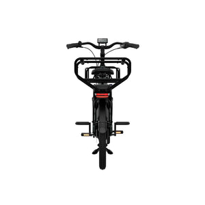 LONGTAIL DUO Ebike